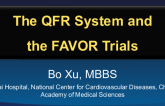 The QFR System and  the FAVOR Trials