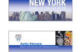 Aortic Stenosis - Basic and Advanced Measurements