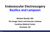 Endovascular ElectrosurgeryBasilica and Lampoon