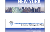 Echocardiographic Approach to the CHD: Evaluating the Unoperated Adult