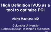 High Definition IVUS as a tool to optimize PCI