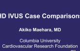 HD IVUS Case Comparisons