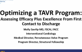 Optimizing a TAVR Program:Assessing Efficacy Plus Excellence From First Contact to Discharge 