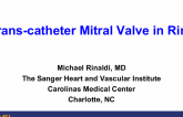 Trans-catheter Mitral Valve in Ring