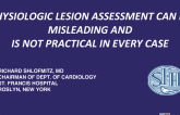 Physiologic Lesion Assessment Can Be Misleading And Is Not Practical In Every Case