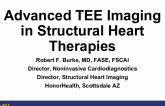 Advanced TEE Imaging in Structural Heart Therapies