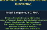 State of the Art Multivessel Coronary Intervention