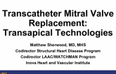 Transcatheter Mitral Valve Replacement:Transapical Technologies