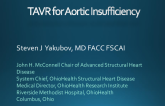 TAVR for Aortic Insufficiency