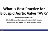 What is Best Practice for Bicuspid Aortic Valve TAVR?