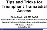 Tips and Tricks for Triumphant Transradial Access
