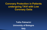 Coronary Protection in Patients undergoing TAVI with Low Coronary Ostia