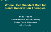 Where I See the Ideal Role for Renal Denervation Therapies