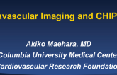 Intravascular Imaging and CHIP PCI   
