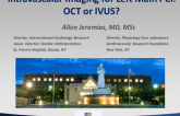 Intravascular Imaging for Left Main PCI: OCT or IVUS? 