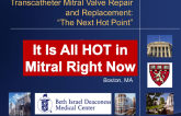 Transcatheter Mitral Valve Repair and Replacement:  “The Next Hot Point”