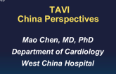 TAVI China Perspectives
