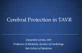 Cerebral Protection in TAVR