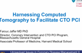 Harnessing Computed Tomography to Facilitate CTO PCI