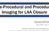 Pre-Procedural and Procedural Imaging for LAA Closure