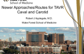 Newer Approaches/Routes for TAVRCaval and Carotid