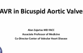 TAVR in Bicuspid Aortic Valves