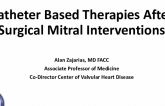 Catheter Based Therapies After Surgical Mitral Interventions