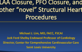 LAA Closure, PFO Closure, and Other Novel Structural Heart Procedures