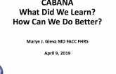 CABANAWhat Did We Learn?How Can We Do Better?