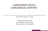 Cardiogenic Shock & Mechanical Support