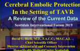 Cerebral Embolic Protection In the Setting of TAVR