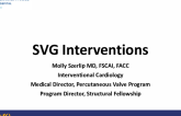 SVG Interventions