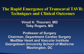 The Rapid Emergence of Transcaval TAVR: Techniques and Clinical Outcomes