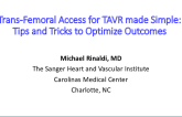 Transfemoral Access for TAVR Made 'Simple' — Tips and Tricks to Optimize Outcomes