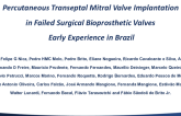 Percutaneous Transeptal Mitral Valve Implantation in Failed Surgical Bioprosthetic Valves – Early Experience in Brazil