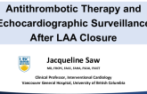 Echocardiographic Surveillance and Antithrombotic Therapy After LAA Closure