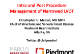 Intra- and Post-Procedure Management of Narrowed LVOT After TMVR