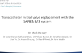 Transcatheter Mitral Valve Replacement With the SAPIEN M3 system