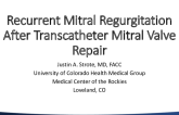 Recurrent Mitral Regurgitation Post-Transcatheter Mitral Valve Repair