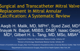Surgical and Transcatheter Mitral Valve Replacement in Mitral Annular Calcification: A Systematic Review