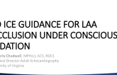 Proof of Concept — A Novel Wide-Field, Three-Dimensional Intracardiac Echocardiography to Guide Left Atrial Appendage Occlusion