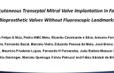 Percutaneous Transeptal Mitral Valve Implantation in Failed Bioprosthetic Valves Without Fluoroscopic Landmarks