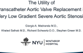The Utility of Transcatheter Aortic Valve Replacement in Very Low-Gradient Severe Aortic Stenosis