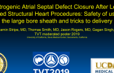Iatrogenic Atrial Septal Defect Closure After Left-Sided Structural Heart Procedures: Safety of Using the Large-Bore Sheath and Tricks to Delivery