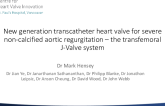 New Generation Transcatheter Heart Valve for Severe Non-Calcified Aortic Regurgitation – The Transfemoral J-Valve System
