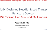 Specially Designed Needle-Based (TSP Crosser, Flex Point, and BMT-Kapsus)