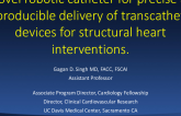 A Novel Robotic Catheter for Precise and Reproducible Delivery of Transcatheter Devices for SHD Interventions
