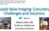 Tricuspid Valve Imaging: Challenges, Conundrums, and Solutions