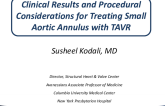 Clinical Results and Procedural Considerations for Treating Small Aortic Annulus With TAVR
