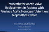 Transcatheter Aortic Valve-in-Valve in Patients With Previous Homograft